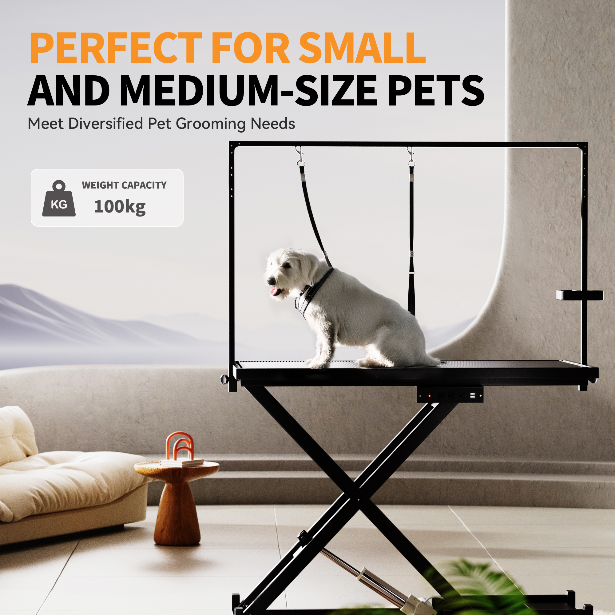 Professional Electric Dog Grooming Table - Heavy Duty - Image 3
