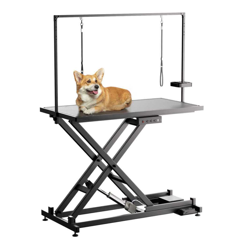 Professional Electric Dog Grooming Table - Heavy Duty